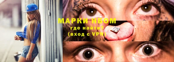 гидра Кинешма