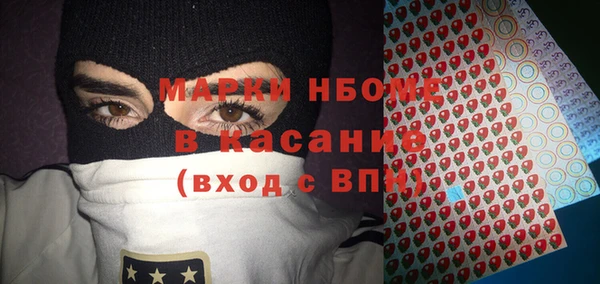 гидра Кинешма
