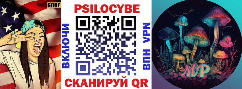 Купить закладки  Новоузенск  Псилоцибиновые грибы Magic Shrooms 